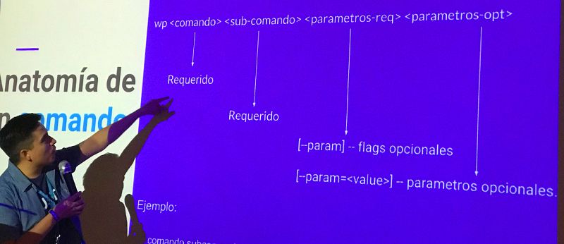 Luis Franco describe la anatomía de un comando en WP-CLI 